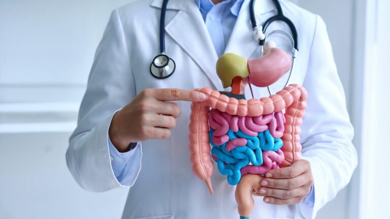 closeup-medical-professional-white-coat-demonstrating-human-digestive-system-anatomy-with-ste